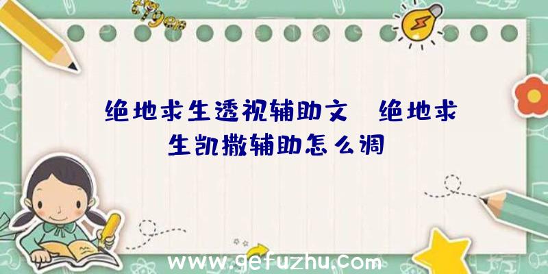 「绝地求生透视辅助文」|绝地求生凯撒辅助怎么调